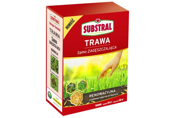 substral trawnik na cień — nasiona trawy substral trawnik na cień — nasiona trawy
