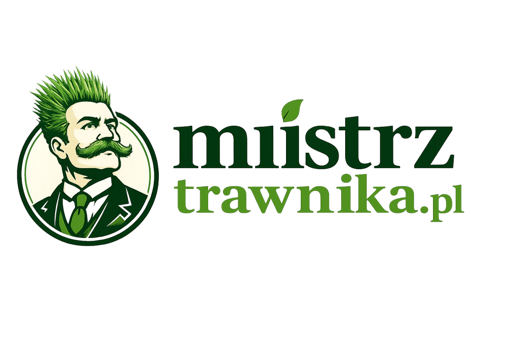 logo png